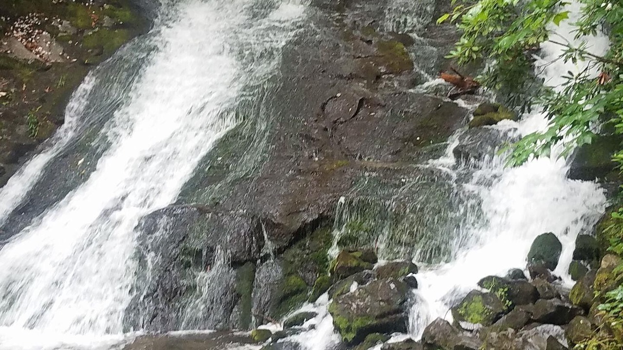 Photo of Others in Bryson City
