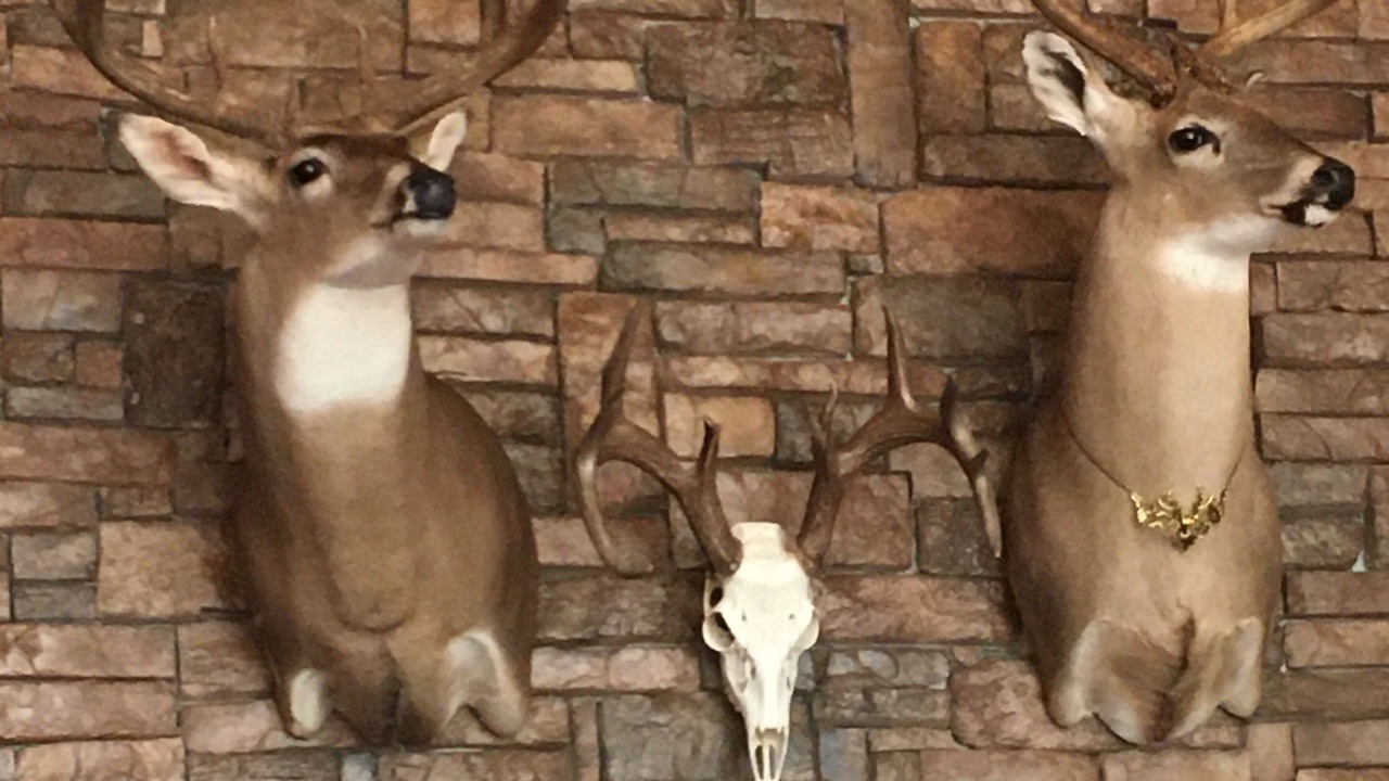 Photo of Others in Burneyville