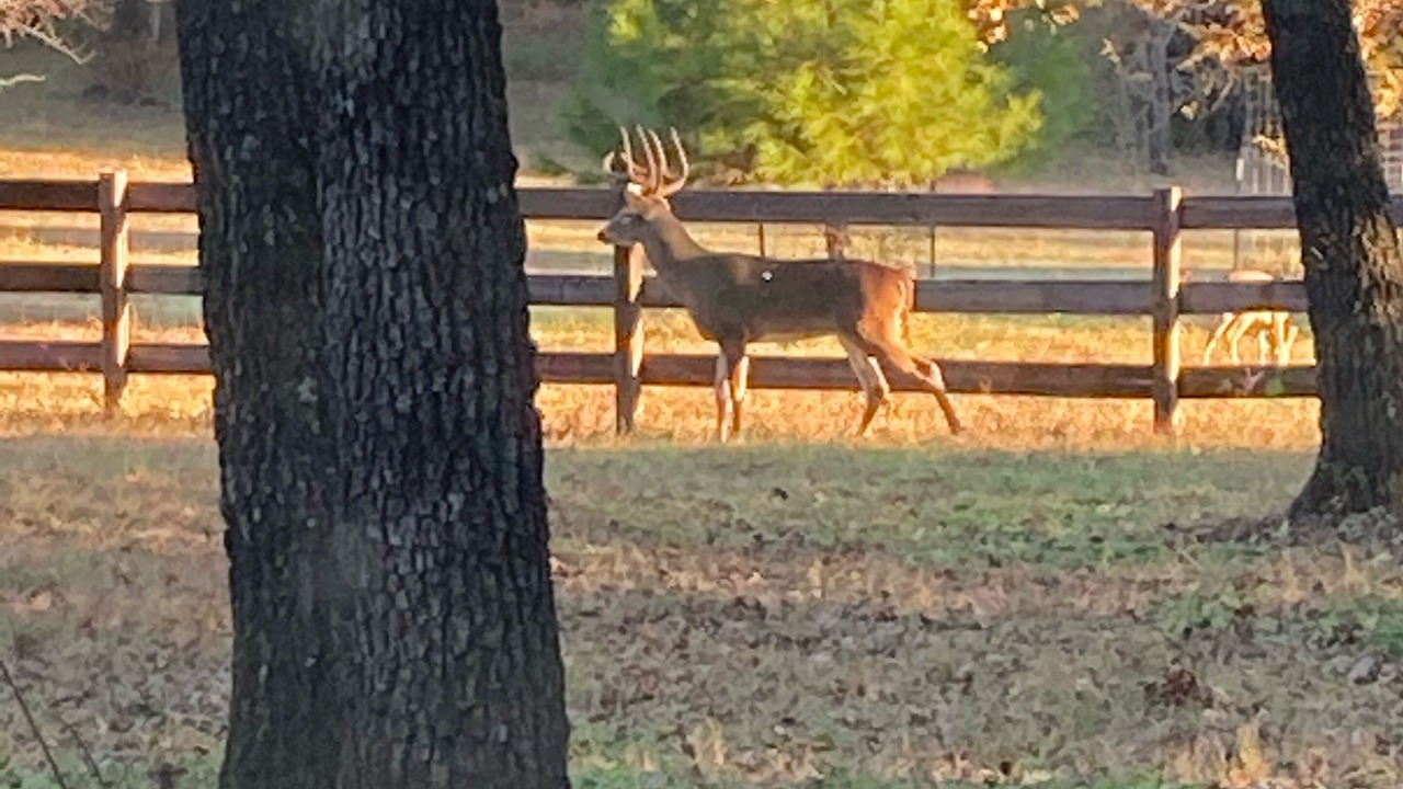 Photo of Outdoor in Burneyville