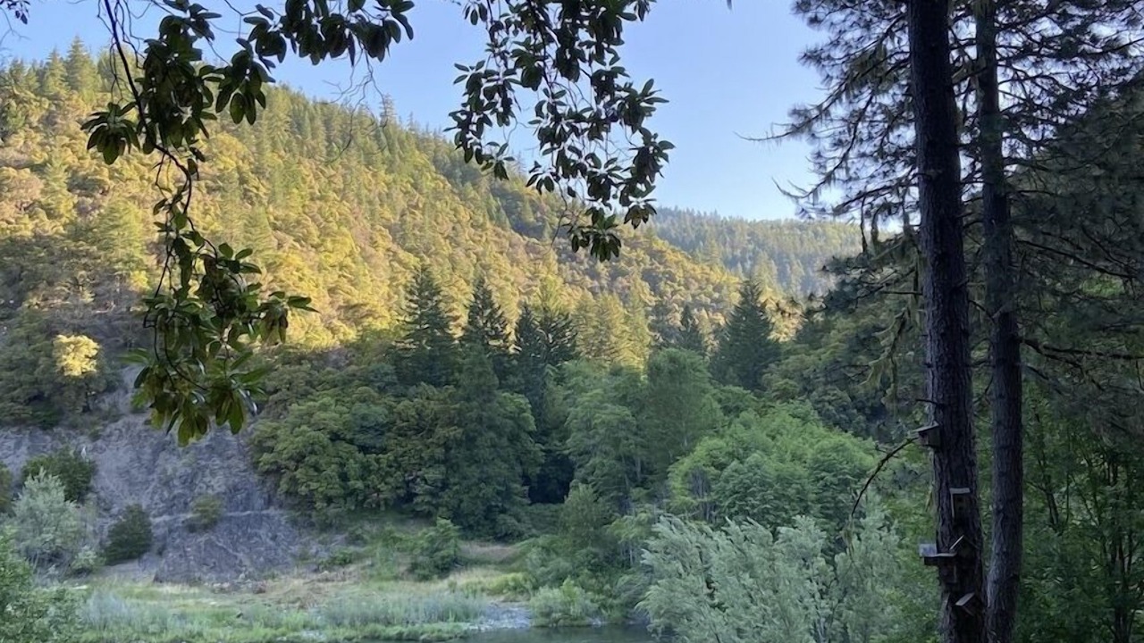 Photo of Outdoor in Merlin
