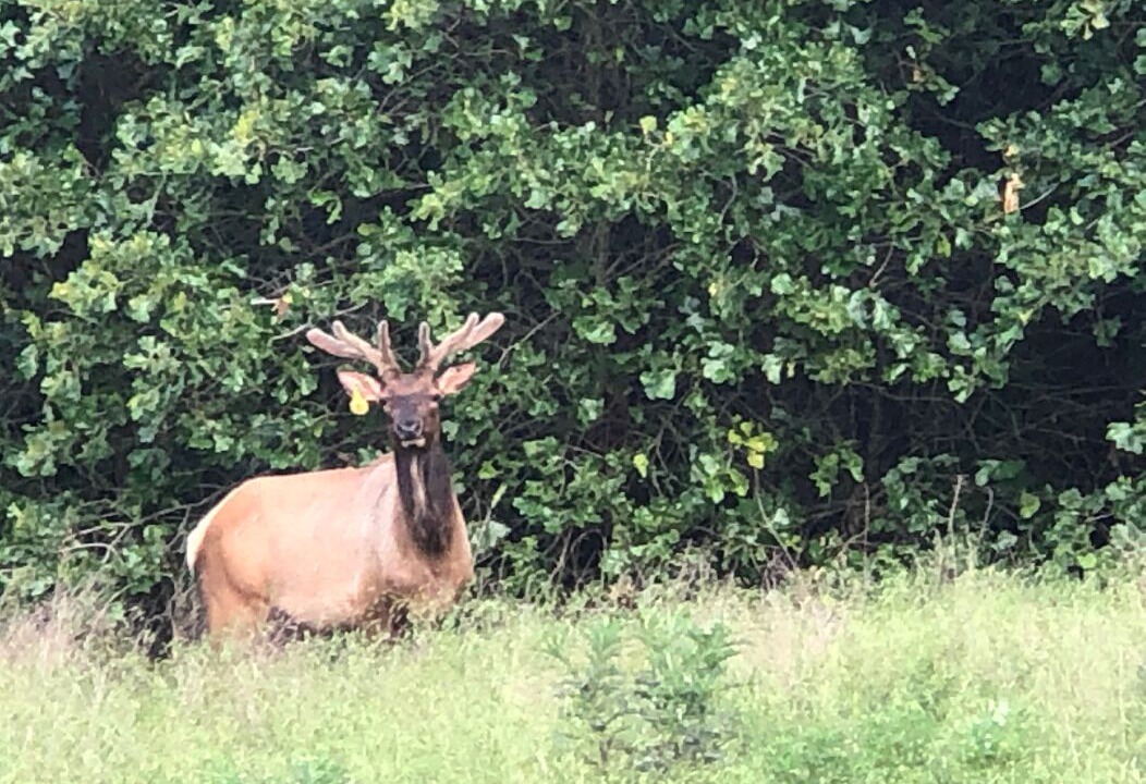 Photo of Outdoor in Gowen