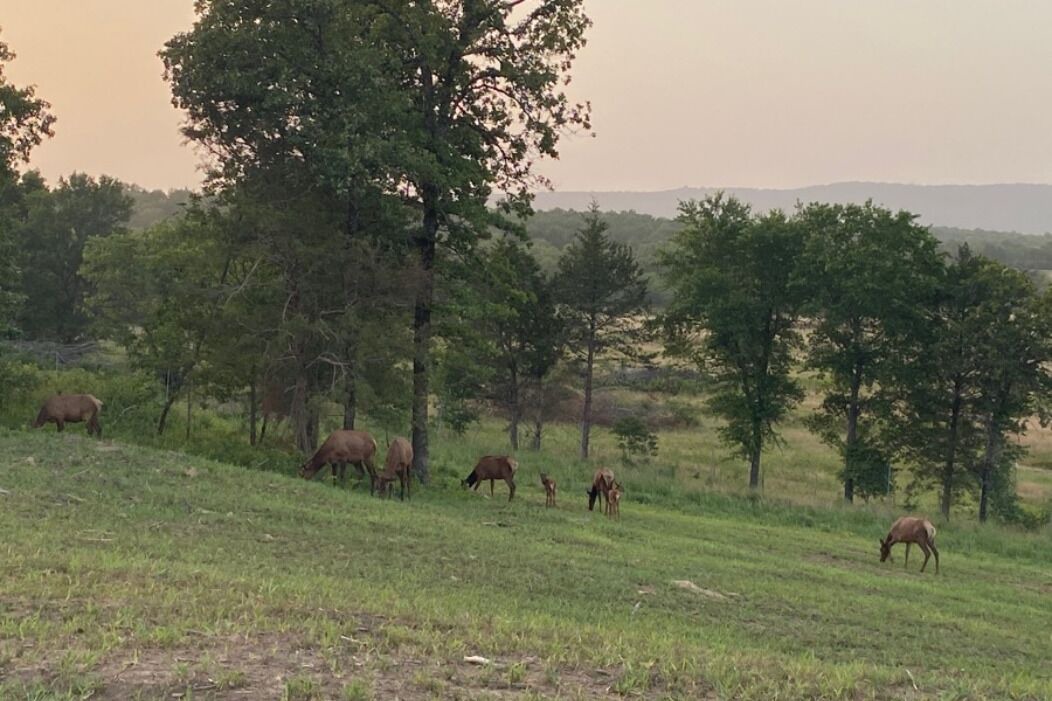 Photo of Others in Gowen
