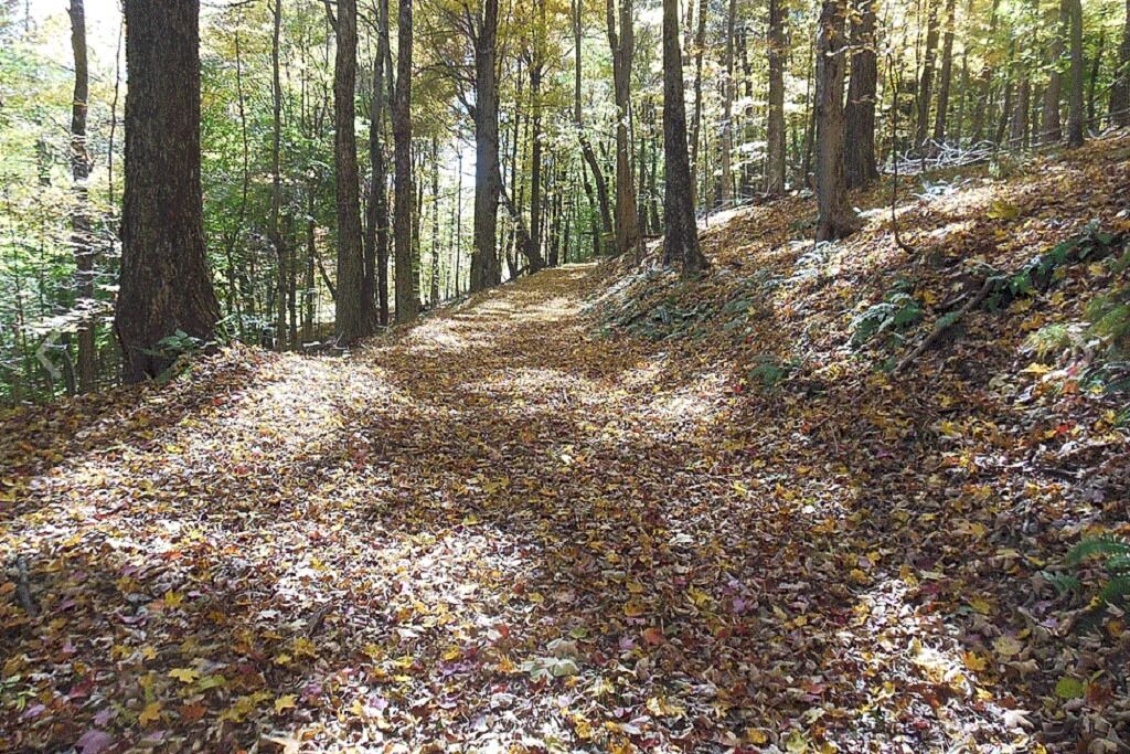 Photo of Outdoor in Wellsville