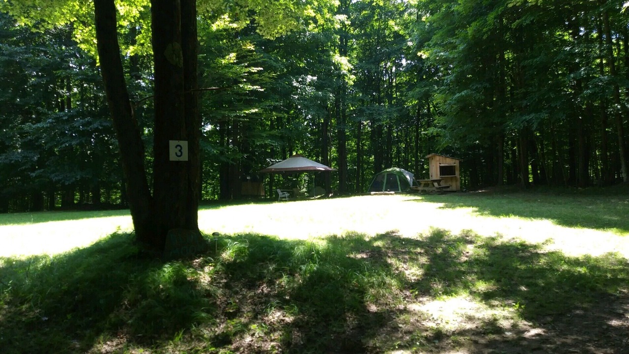 Photo of Outdoor in Wellsville