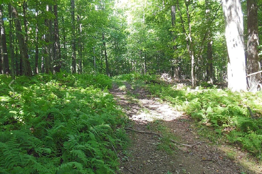 Photo of Outdoor in Wellsville