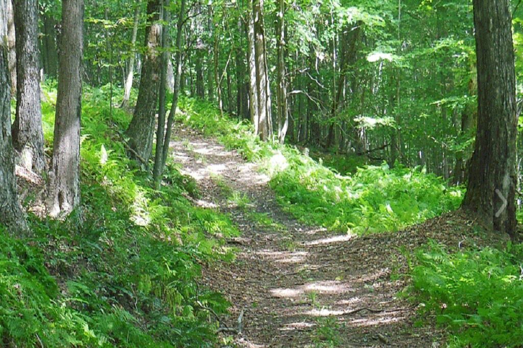 Photo of Outdoor in Wellsville