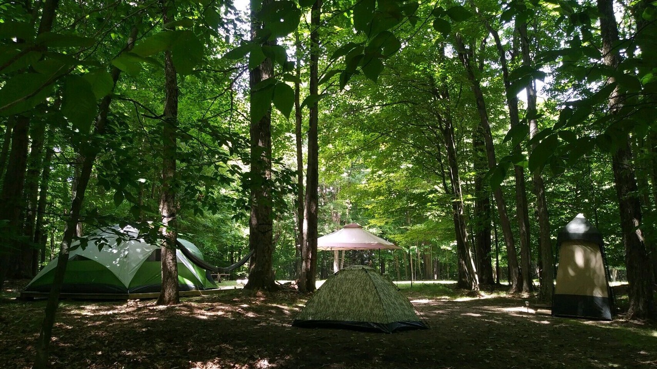 Photo of Outdoor in Wellsville