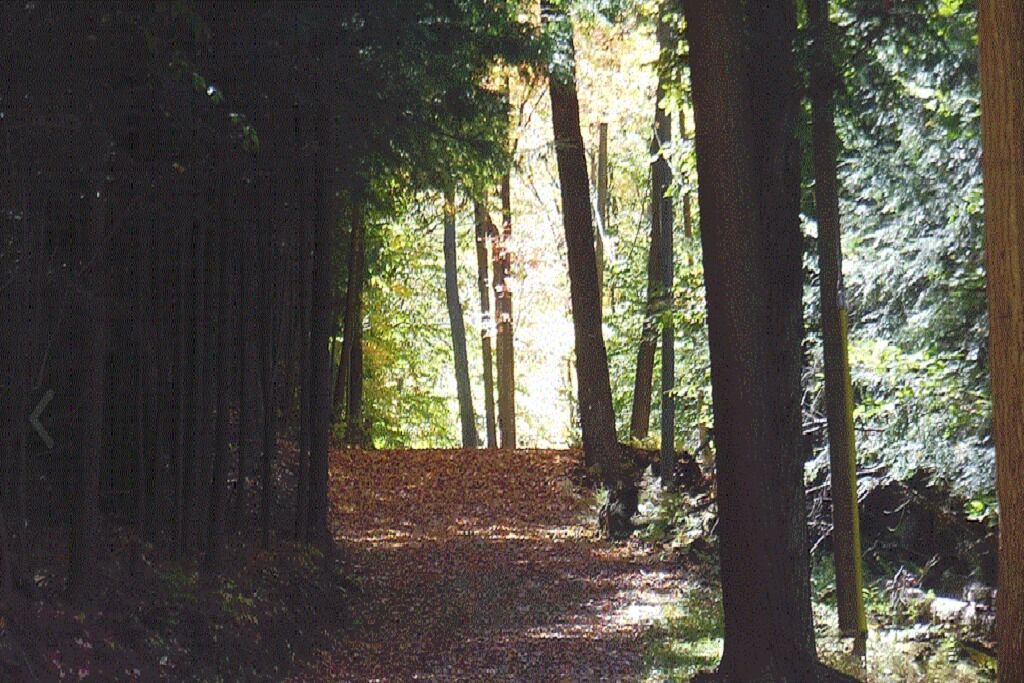 Photo of Outdoor in Wellsville