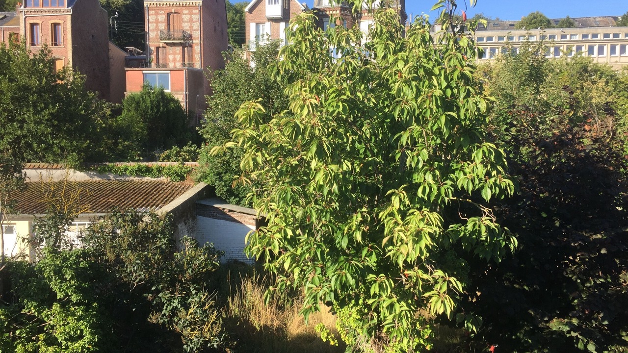 Photo of Outdoor in Le Treport