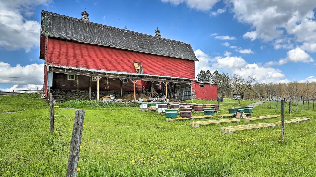 Photo of Outdoor in Pleasant Mount