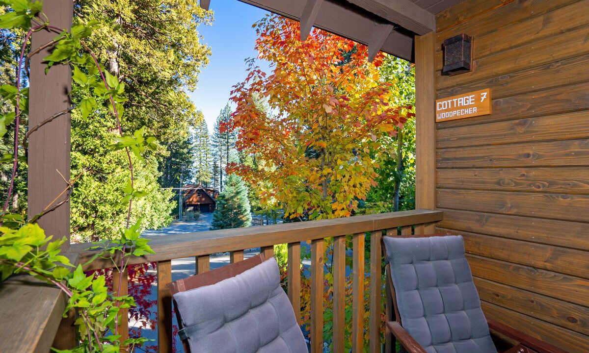 Photo of Outdoor in Homewood