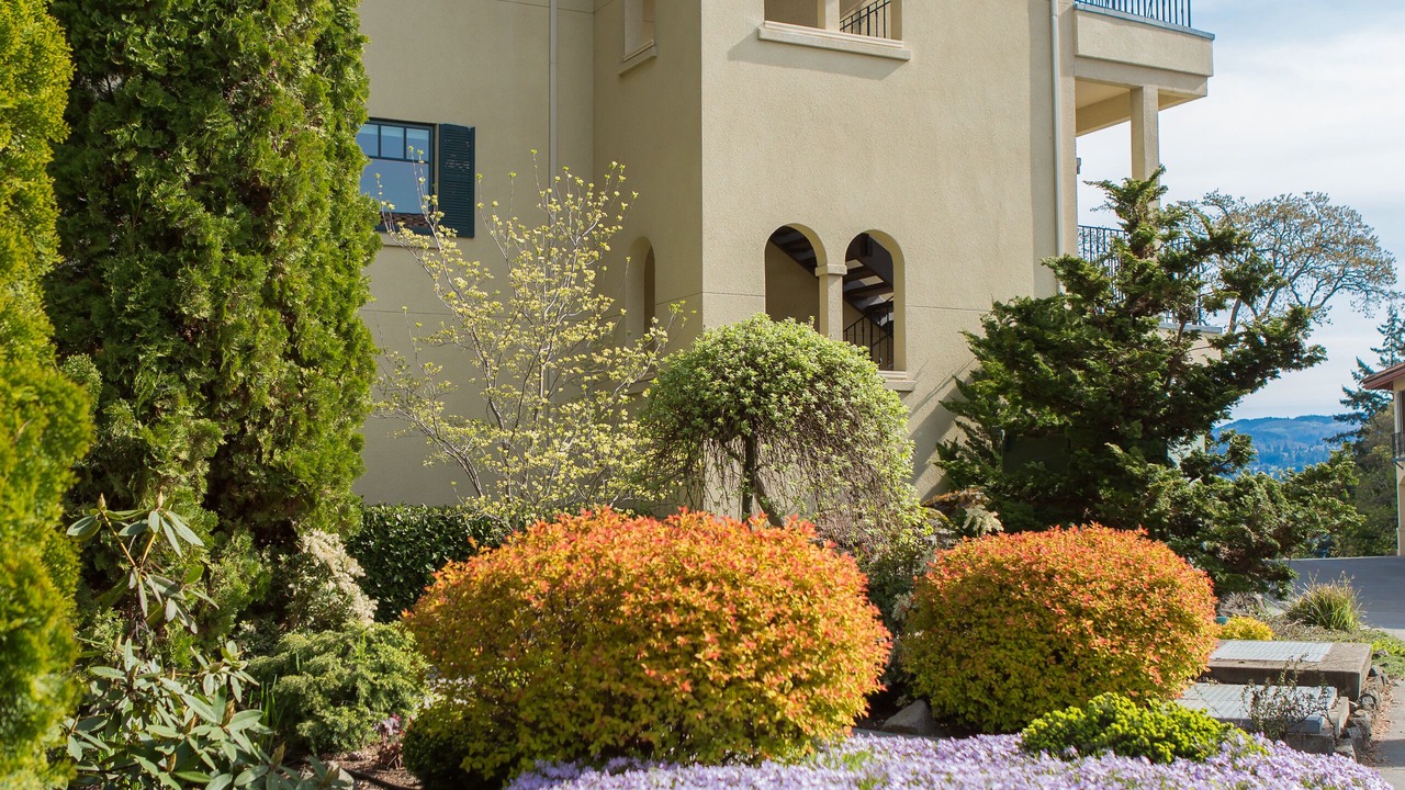 Photo of Outdoor in Hood River