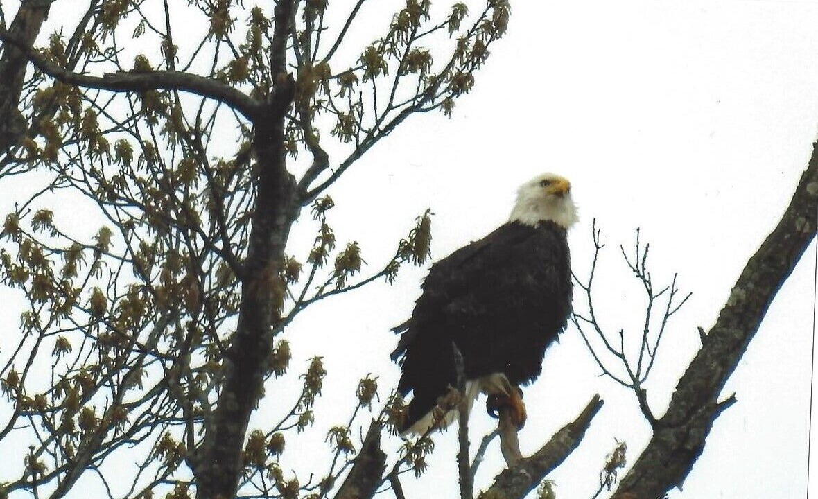 Photo of Others in Hardin