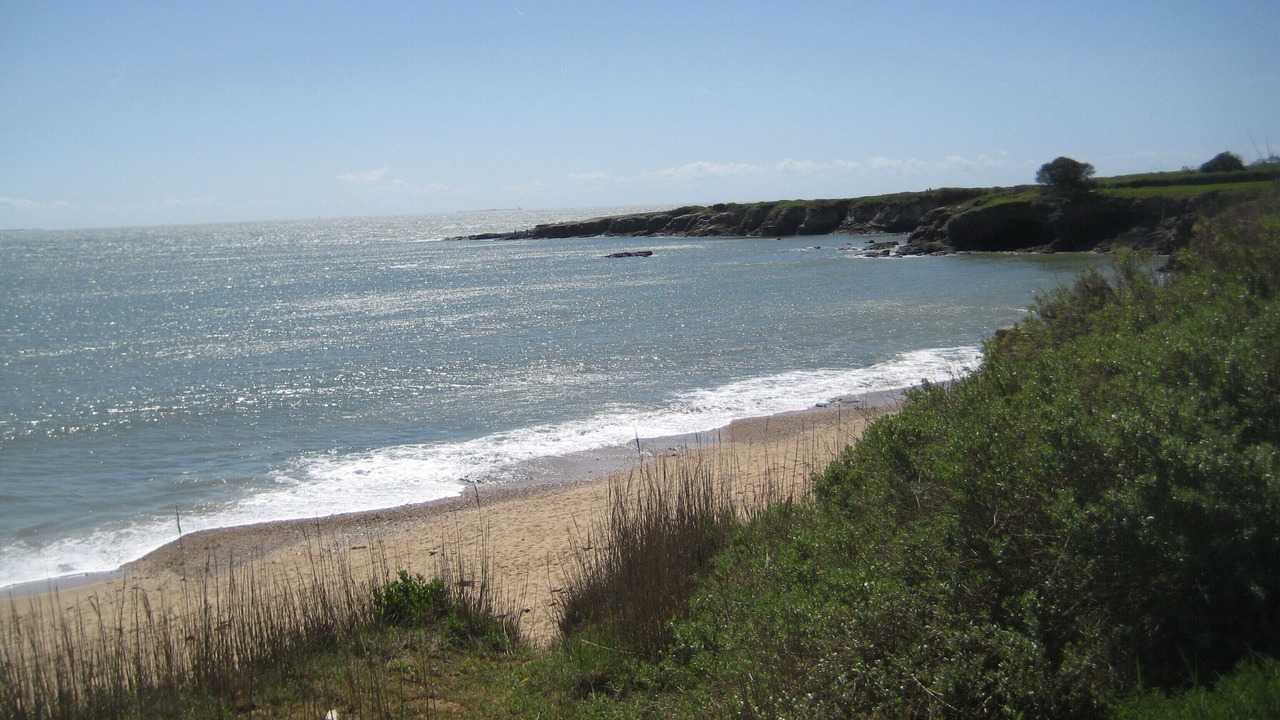 Photo of Others in La Plaine-sur-Mer