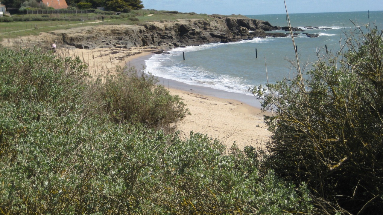 Photo of Others in La Plaine-sur-Mer