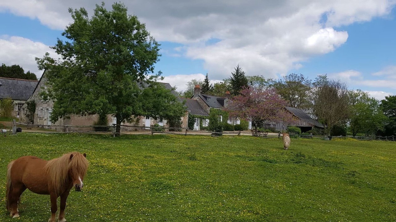 Photo of Others in Broc