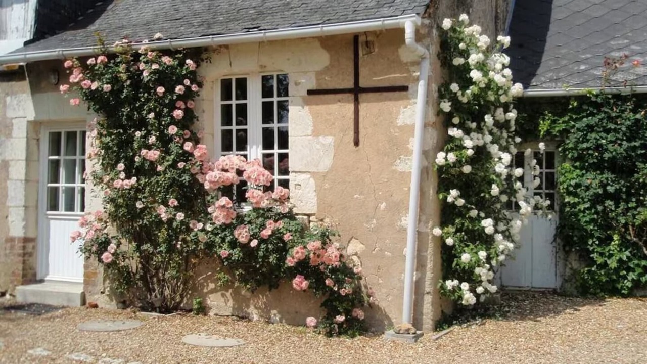 Photo of Outdoor in Broc