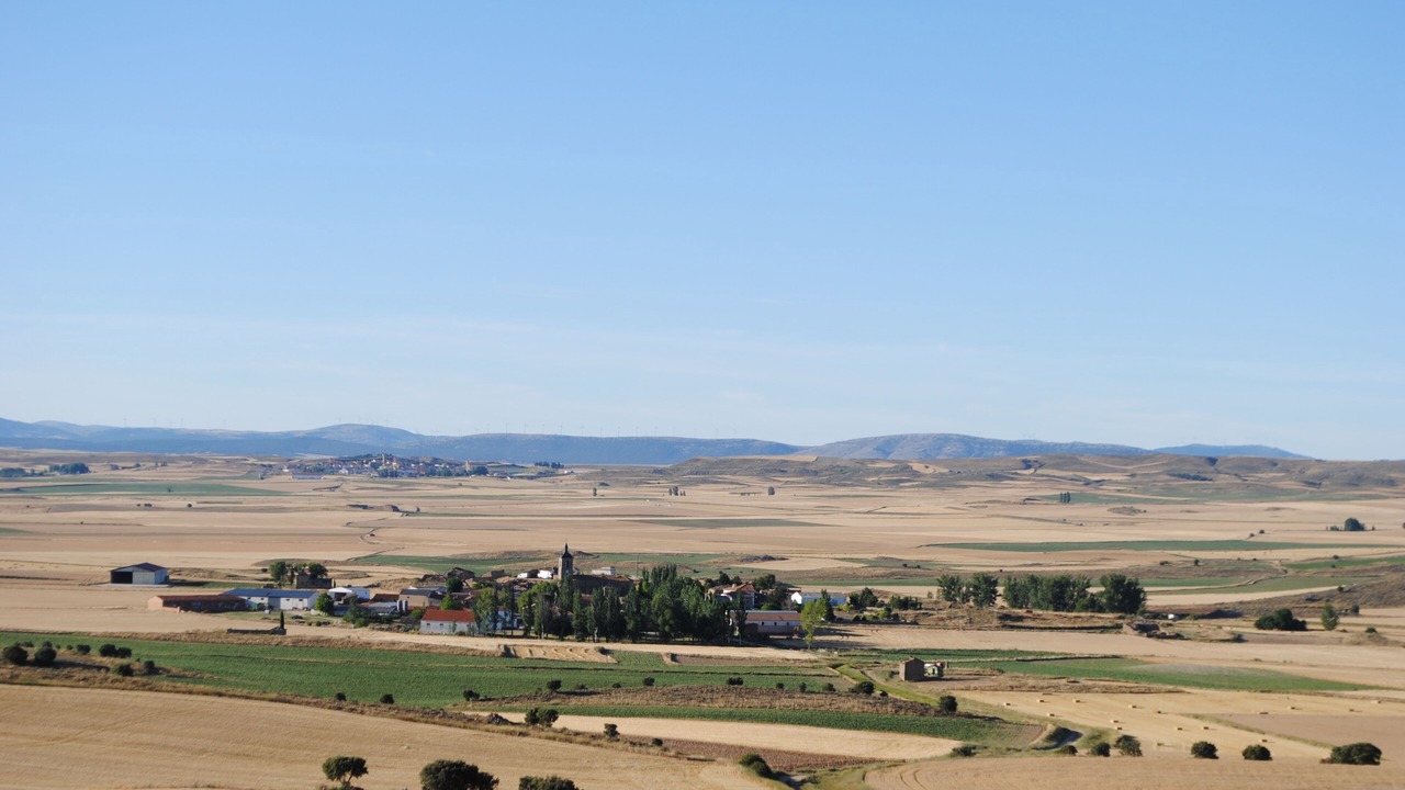 Photo of Others in Almenar de Soria
