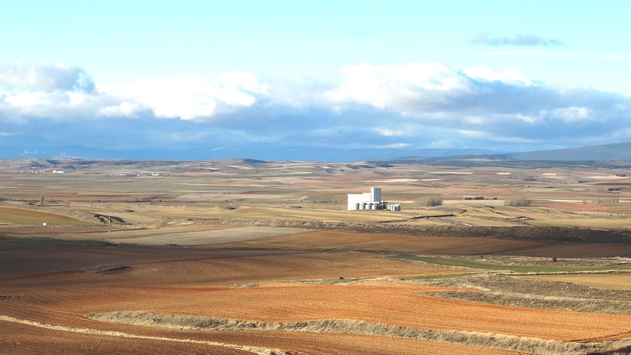 Photo of Outdoor in Almenar de Soria