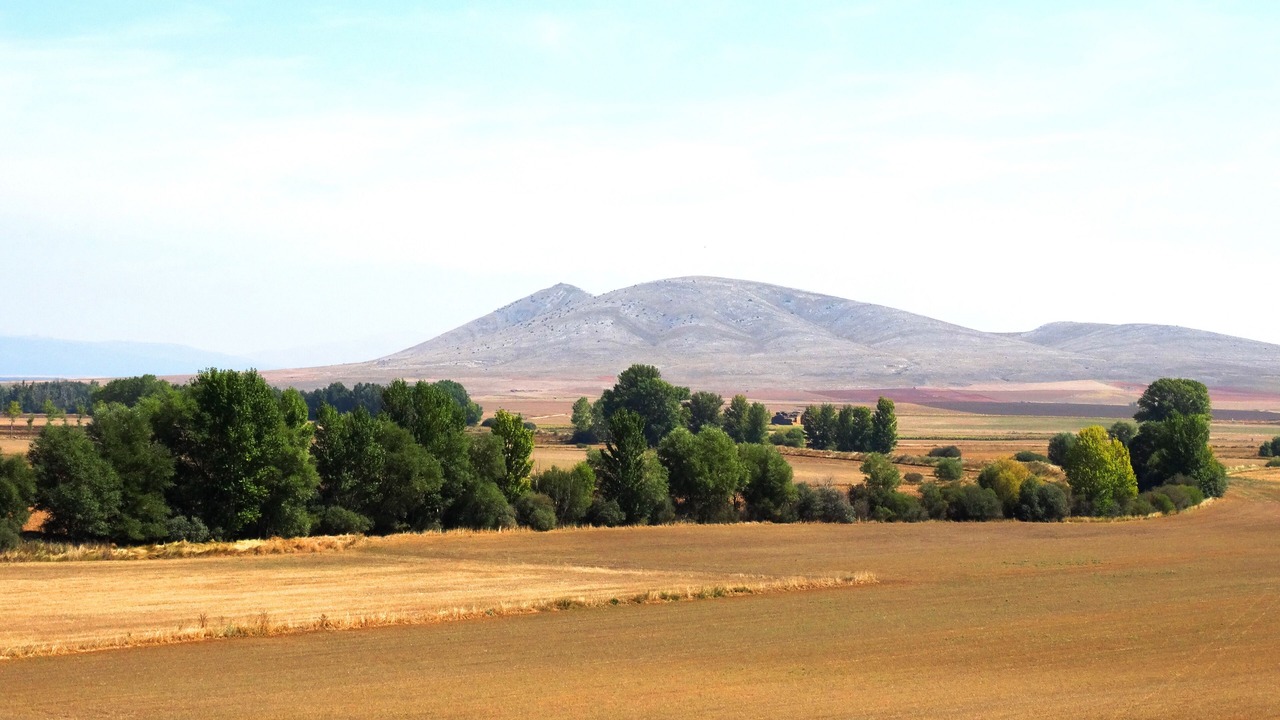 Photo of Others in Almenar de Soria