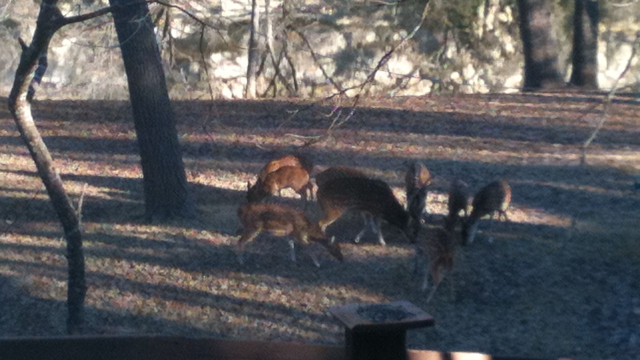 Photo of Others in Hunt