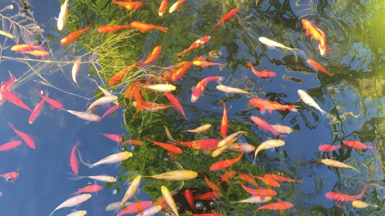 Photo of Outdoor in Tourrettes