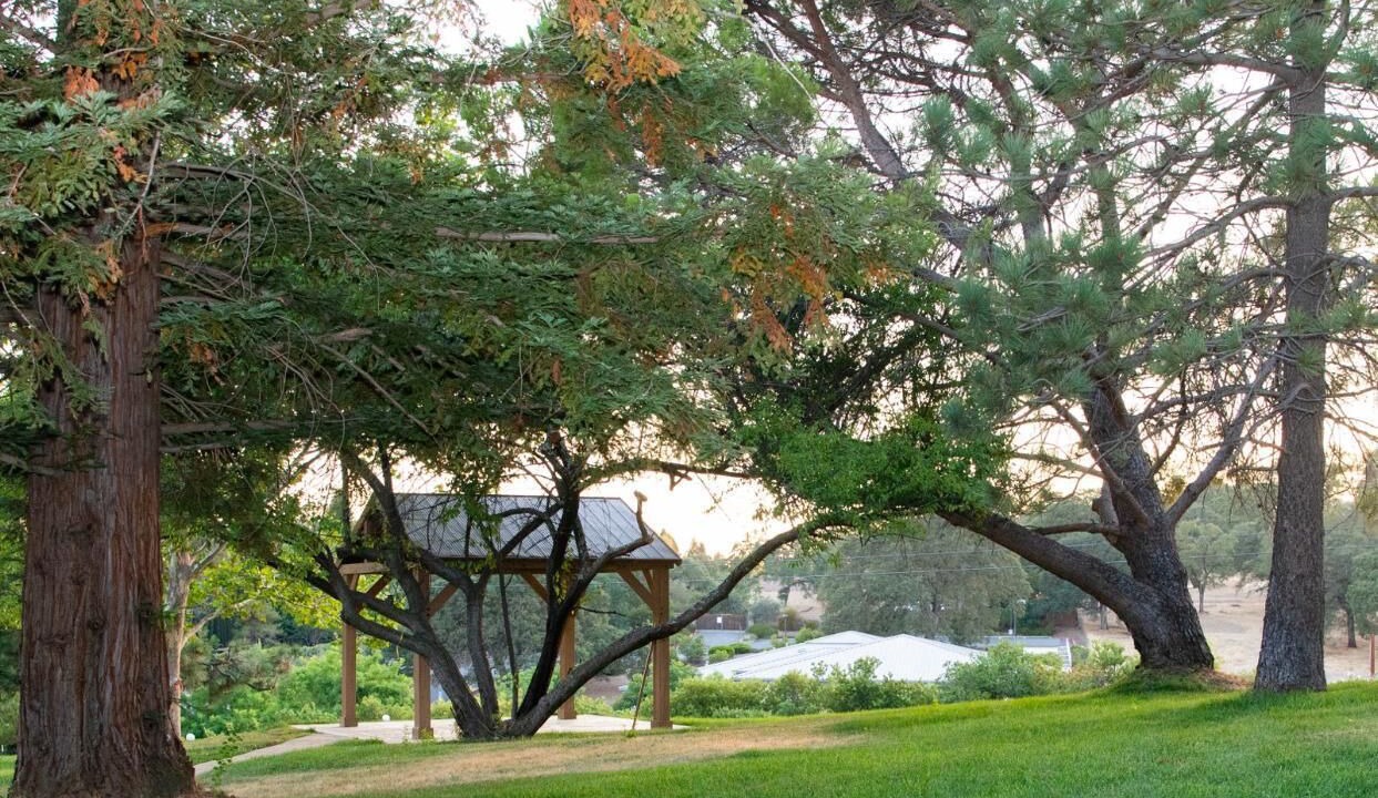 Photo of Outdoor in Folsom