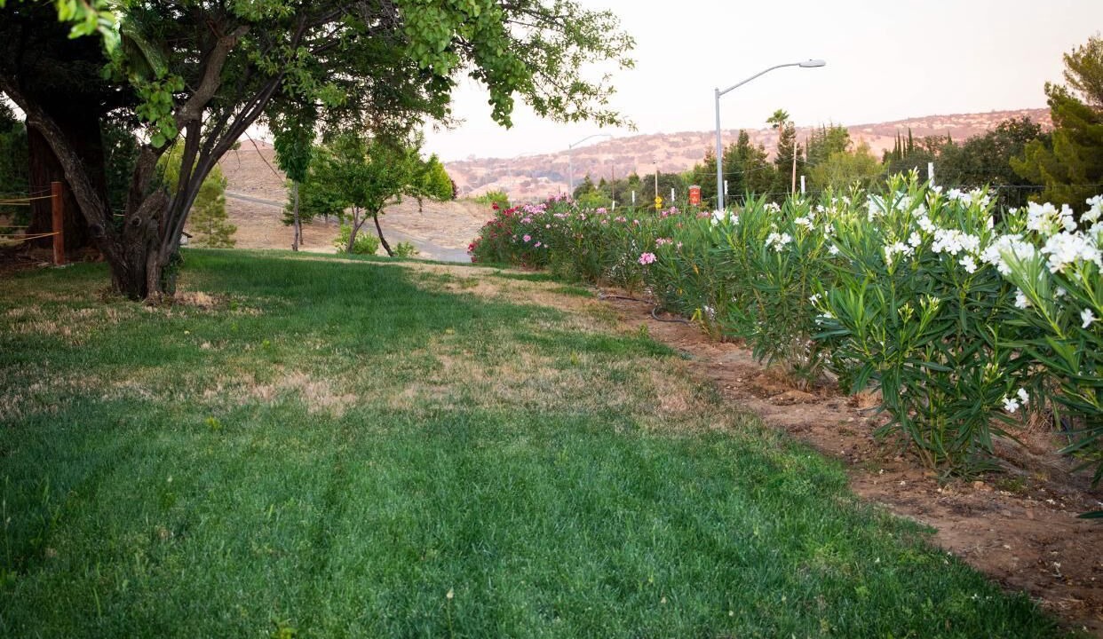 Photo of Outdoor in Folsom