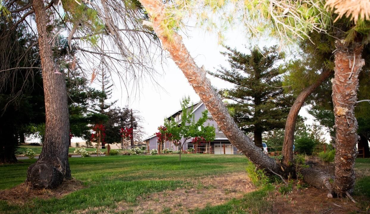 Photo of Outdoor in Folsom