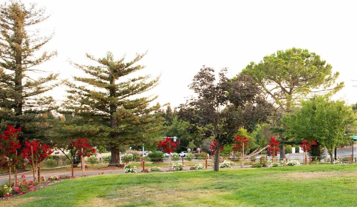 Photo of Outdoor in Folsom