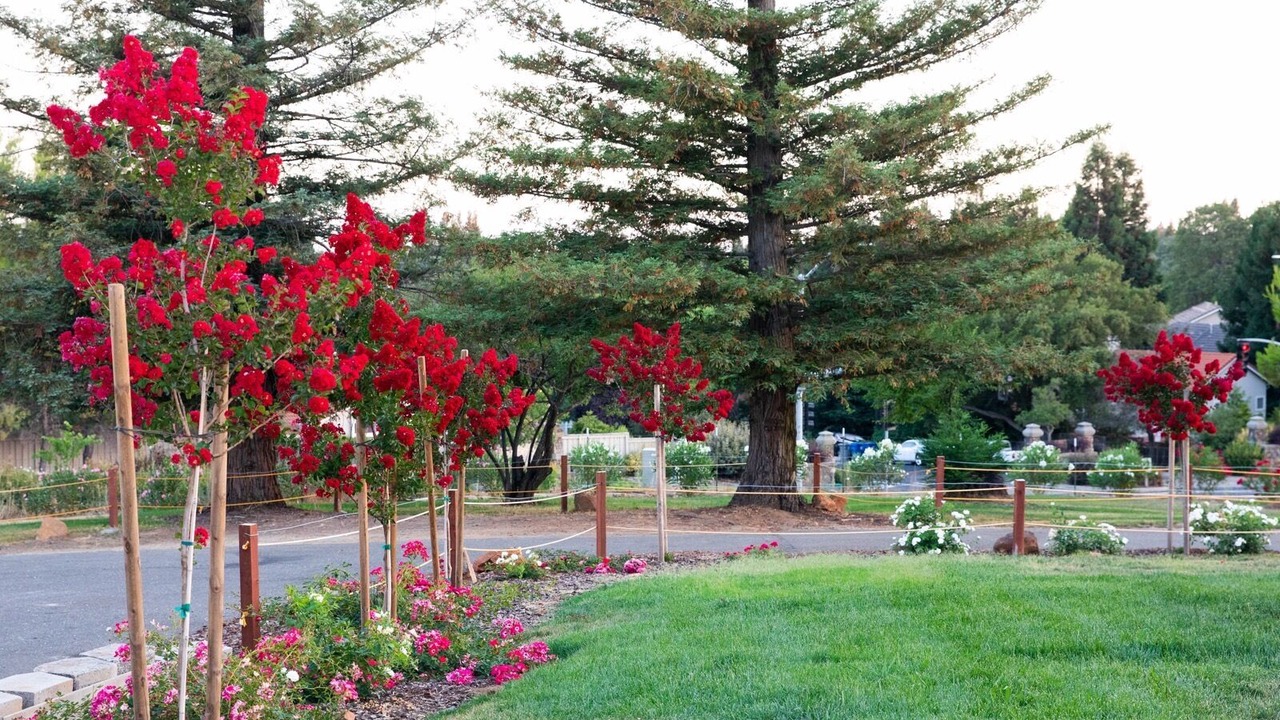 Photo of Others in Folsom