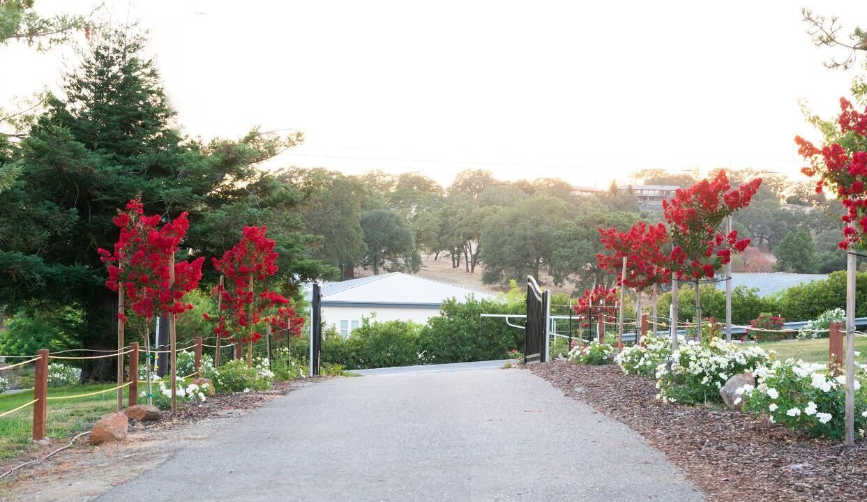 Photo of Outdoor in Folsom