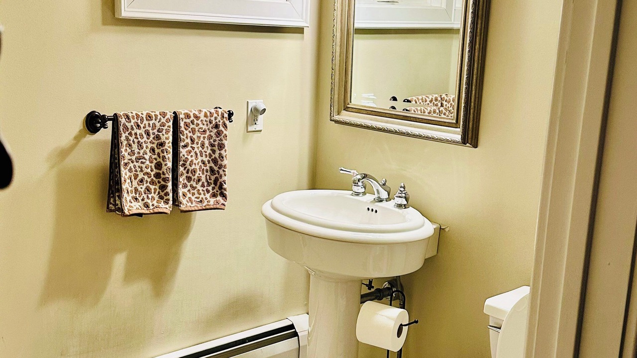 Photo of Bathroom in Roxbury