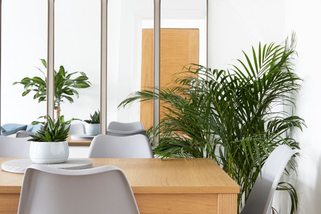 Photo of Others in North Finchley