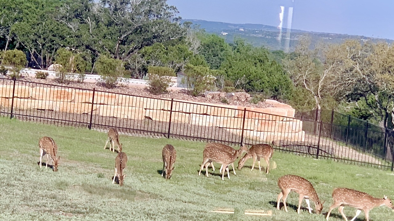 Photo of Others in Ingram
