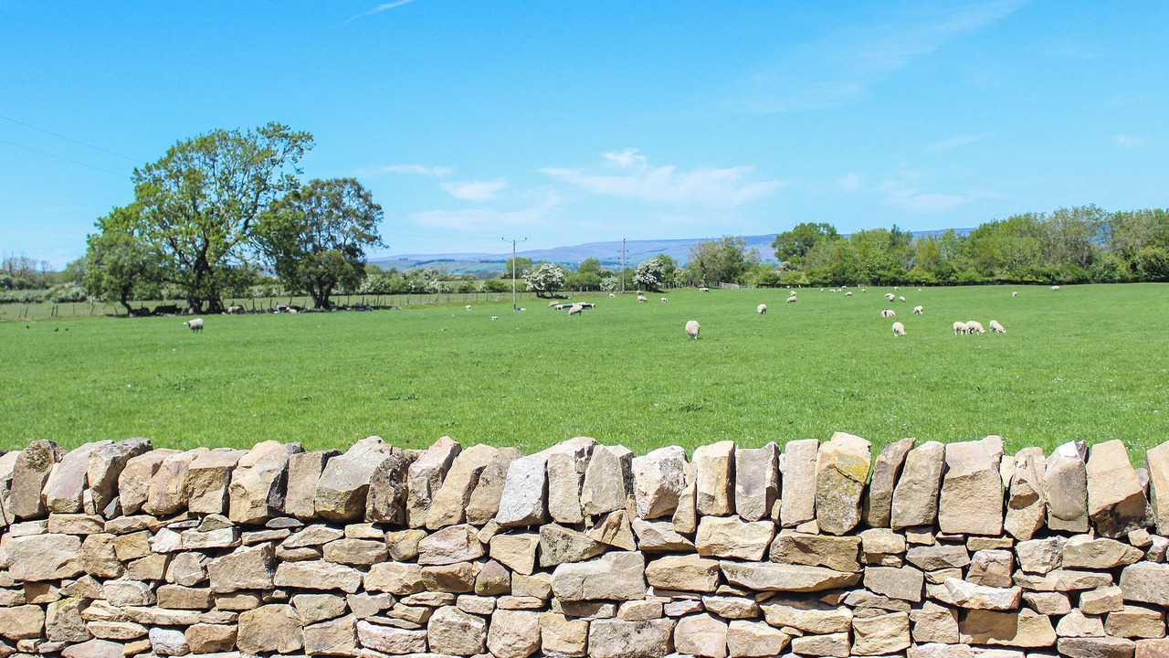 Photo of Others in Barnard Castle