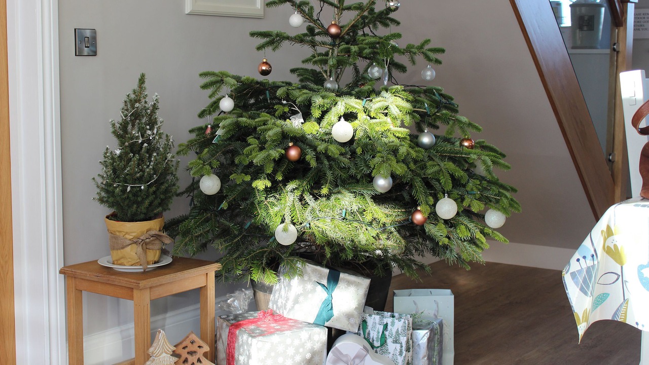 Photo of Others in Barnard Castle