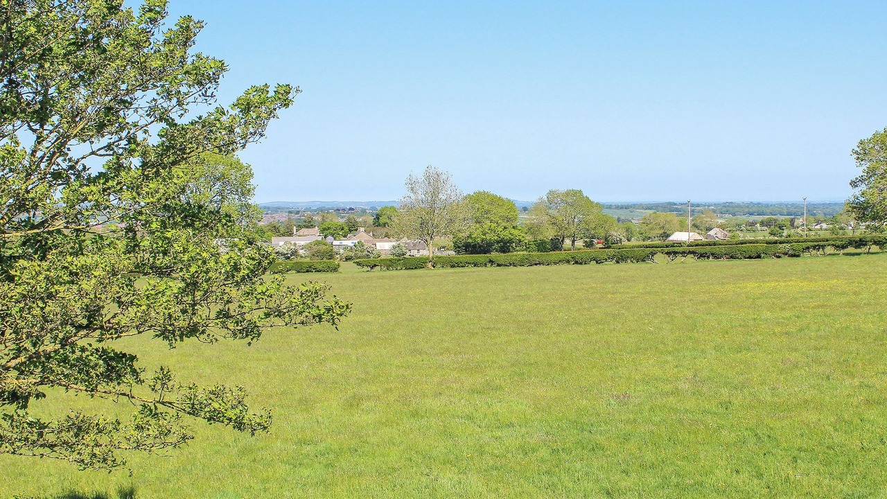 Photo of Others in Barnard Castle