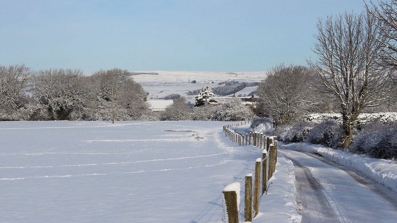Photo of Others in Barnard Castle