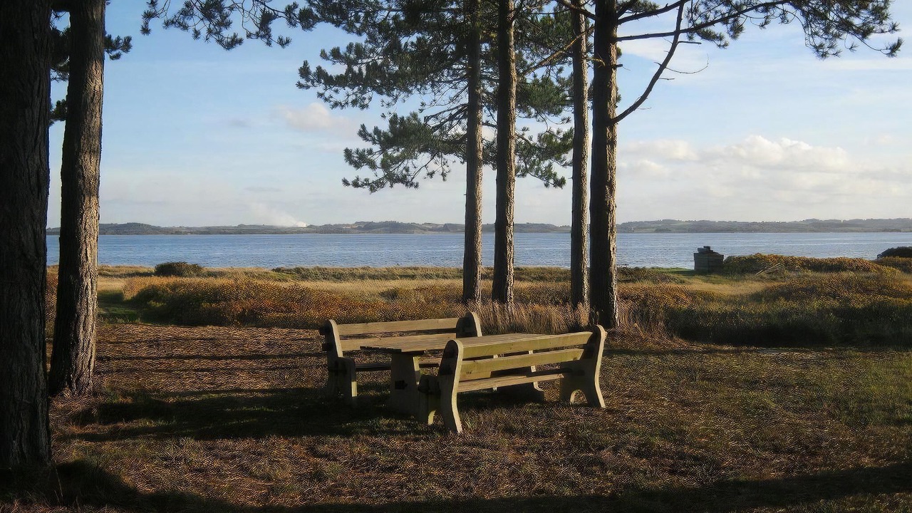 Photo of Others in Hojslev