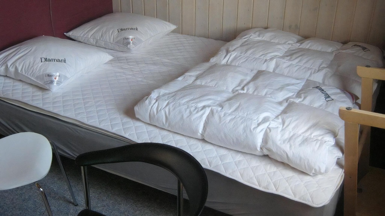 Photo of Others in Hojslev