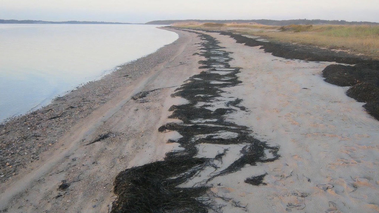 Photo of Others in Hojslev