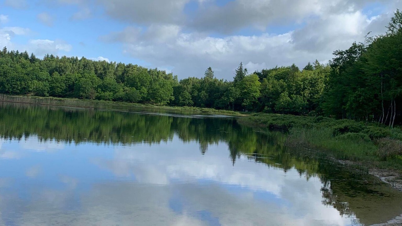 Photo of Others in Aars