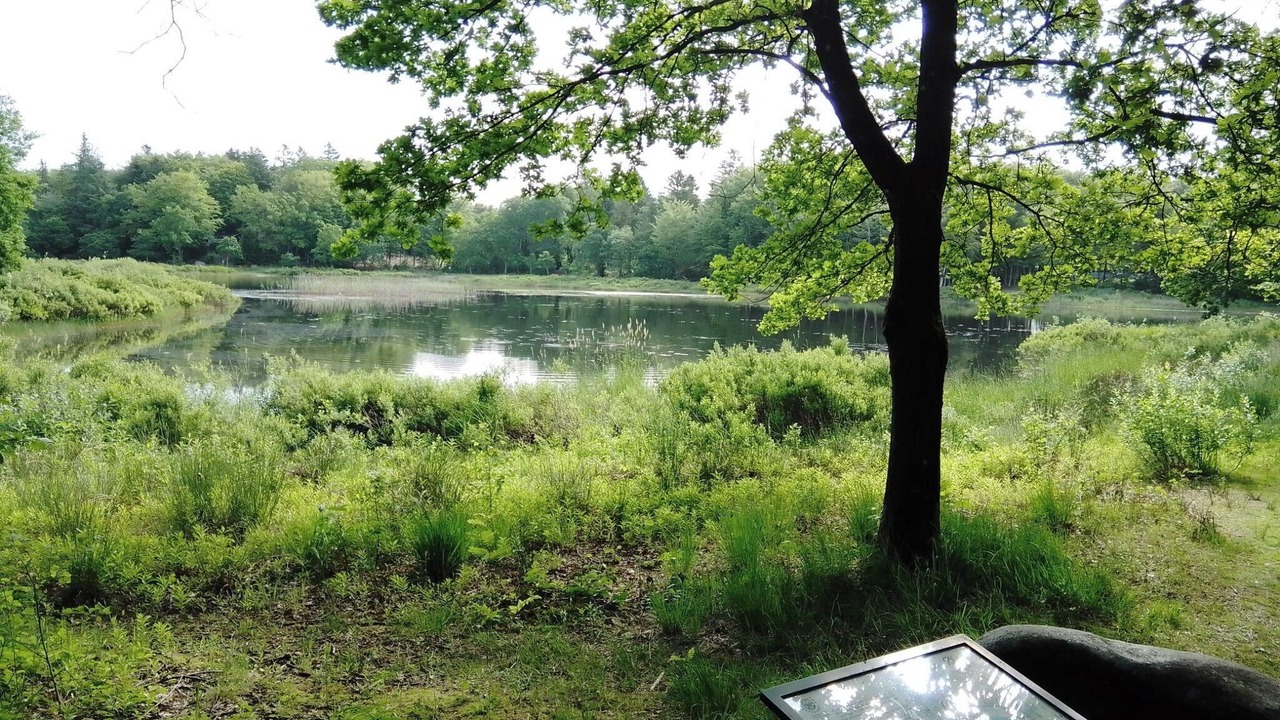 Photo of Others in Aars