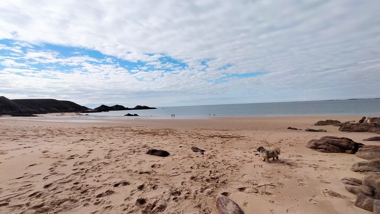 Photo of Others in Erquy