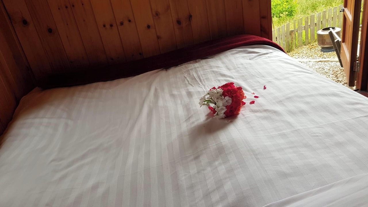 Photo of Others in Newcastle-on-Clun