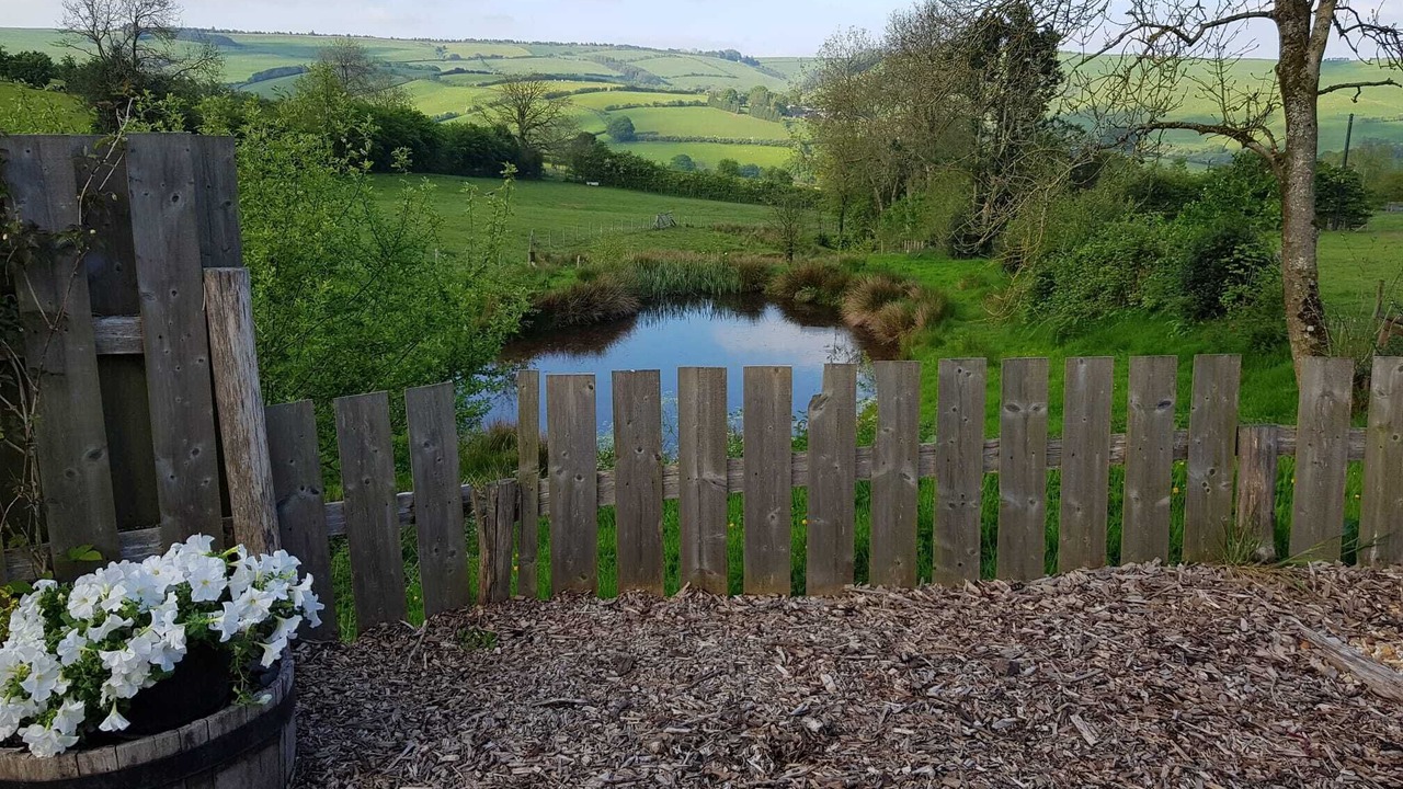 Photo of Others in Newcastle-on-Clun