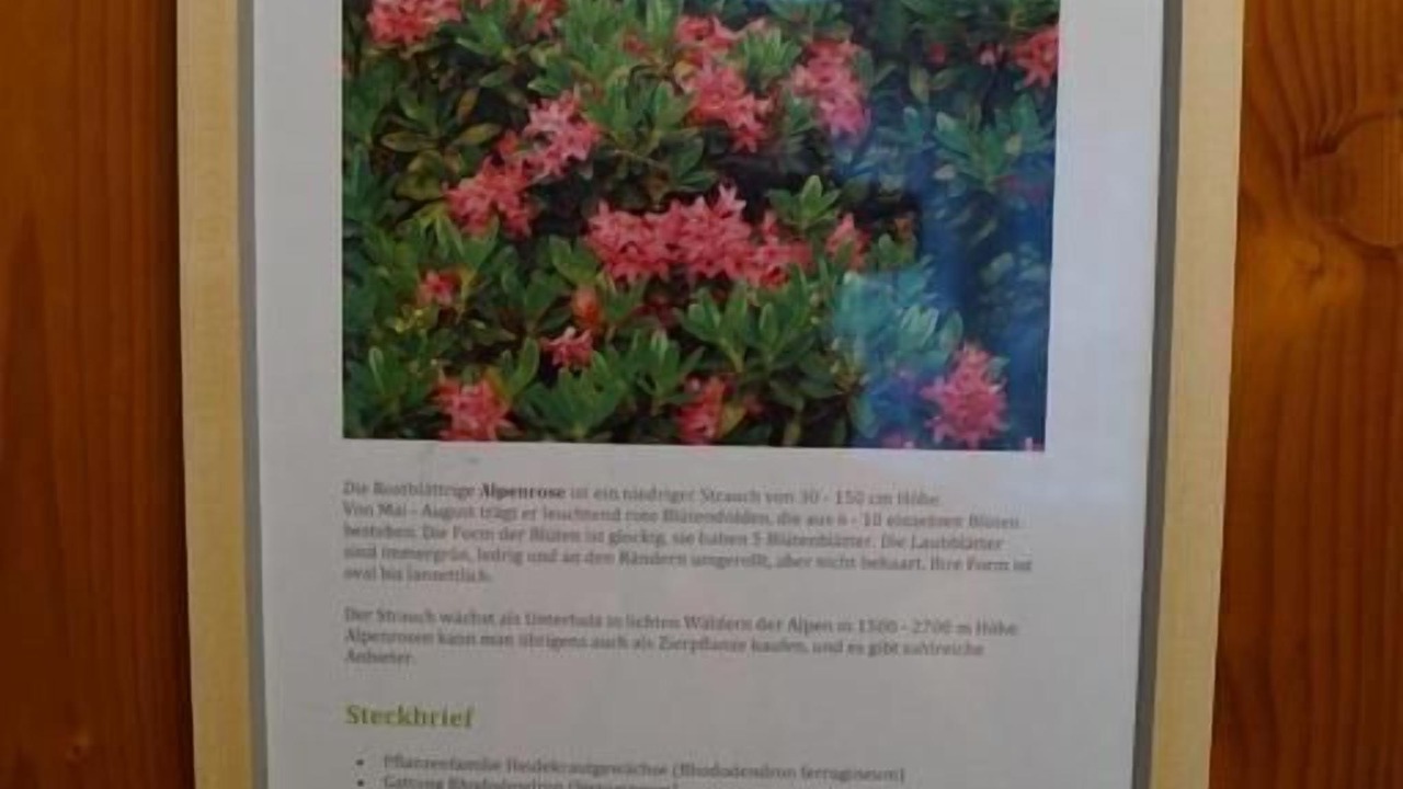 Photo of Others in Willigen