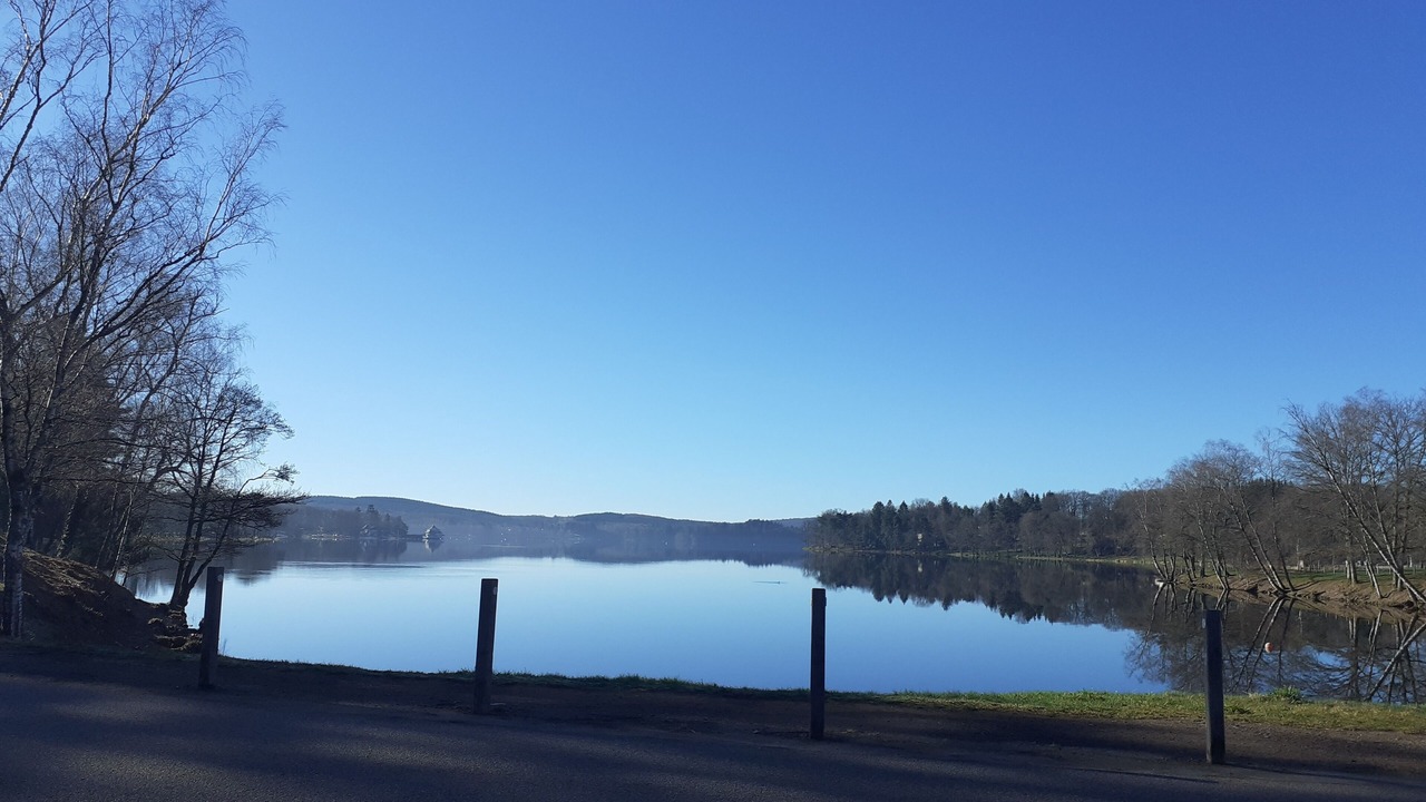 Photo of Others in Moux-en-Morvan