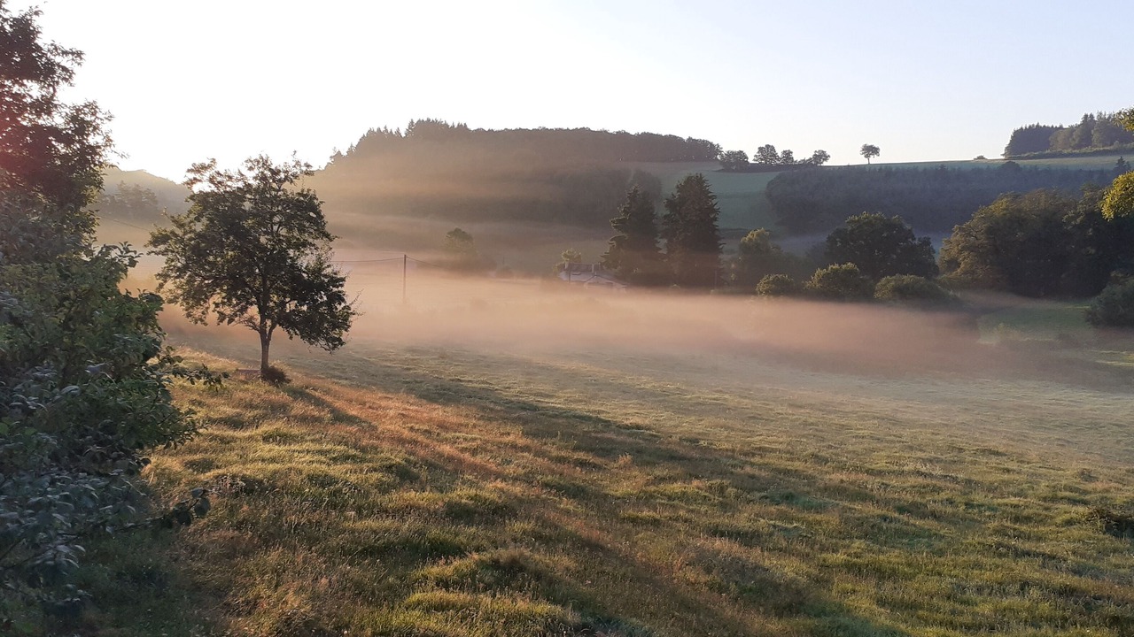 Photo of Others in Moux-en-Morvan